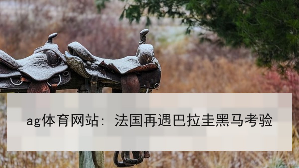 ag体育网站: 法国再遇巴拉圭黑马考验
