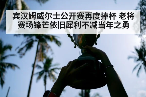 宾汉姆威尔士公开赛再度捧杯 老将赛场锋芒依旧犀利不减当年之勇