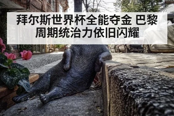 拜尔斯世界杯全能夺金 巴黎周期统治力依旧闪耀